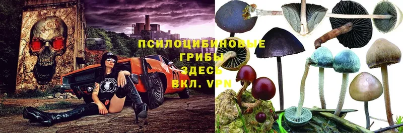 Виды наркоты Ардон NBOMe  ГАШИШ  Марихуана  КОКАИН 